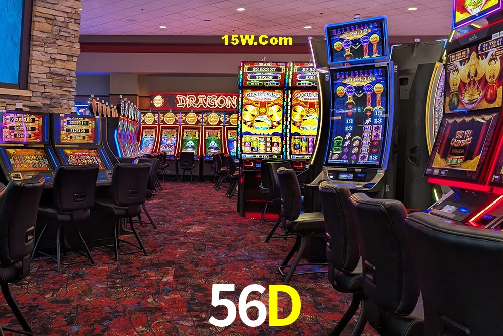 Bonus Features 56D